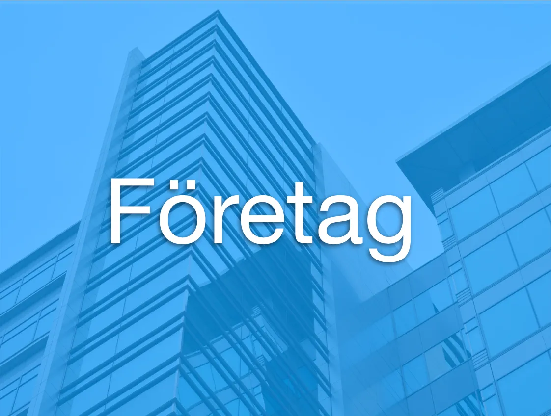 Uppgifter foretag
