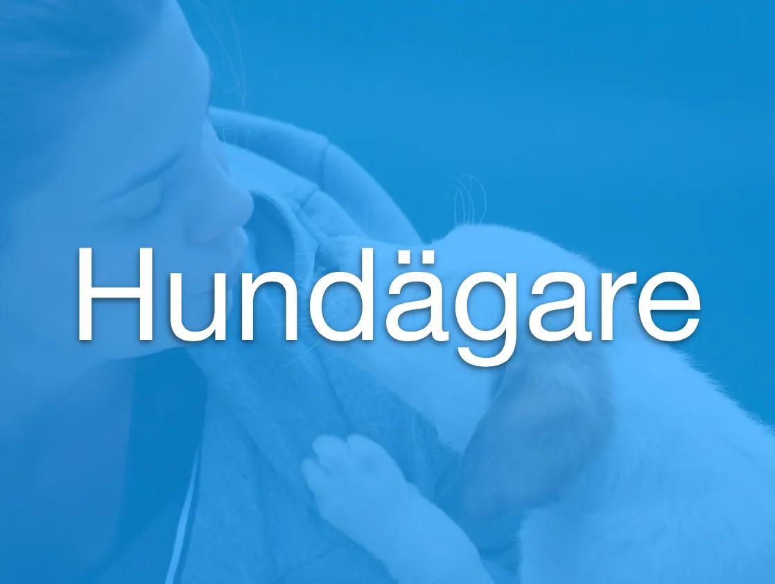 Uppgifter hundagare